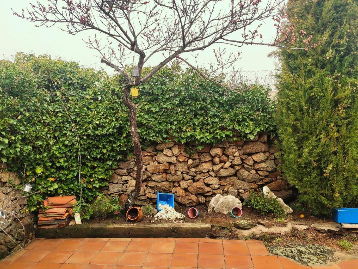 Casa Rural Alto Santiago Santiago del Collado Exteriér fotografie